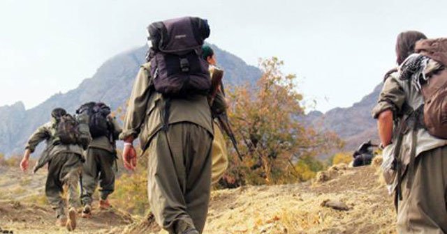 Hakkari'de 11 PKK'lı öldürüldü