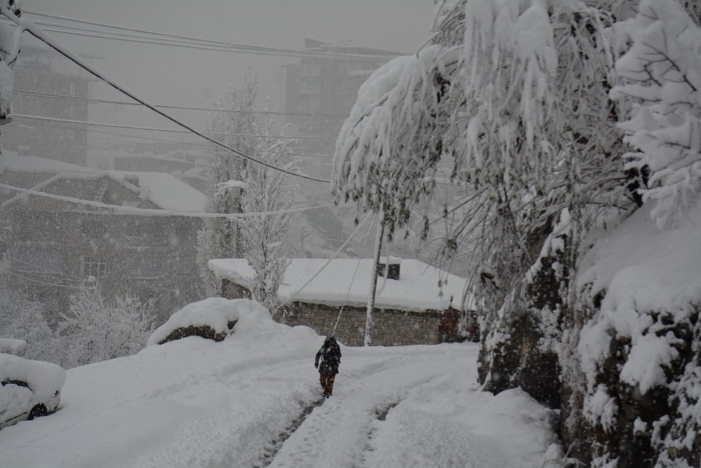 Hakkari’de 11 yerleşim yerinin yolu ulaşıma kapandı 