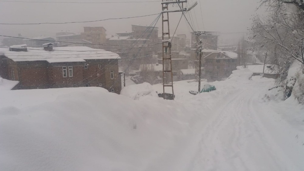 Hakkari’de 125 yerleşim yerinin yolu kapandı 
