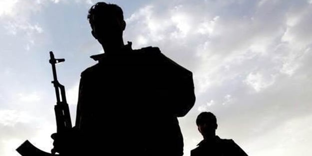 Hakkari'de 2 PKK'lı teslim oldu!