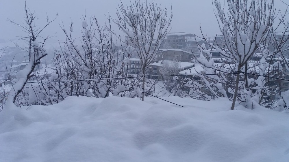 Hakkari’de 259 yerleşim yeri ulaşıma kapandı 