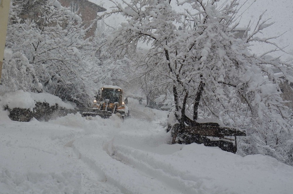Hakkari’de 56 köy, 169 mezra yolu ulaşıma kapandı 