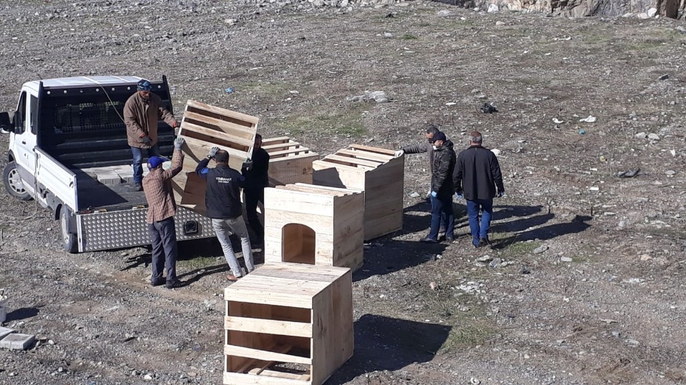 Hakkari’de başıboş hayvanlar için önlem alındı 