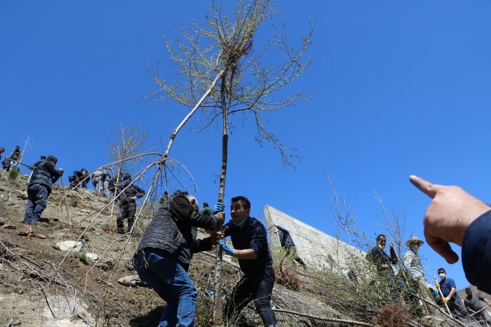 Hakkari’de bin adet fidan dikildi 