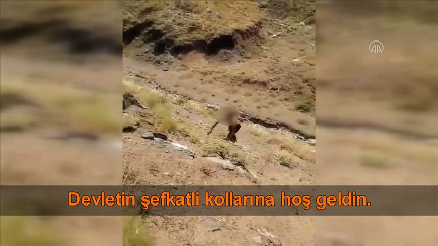 Hakkari'de bir terörist teslim oldu