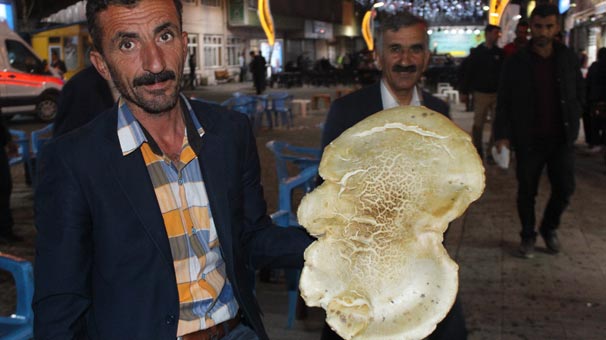 Hakkari'de dağda bulan oraya koşuyor