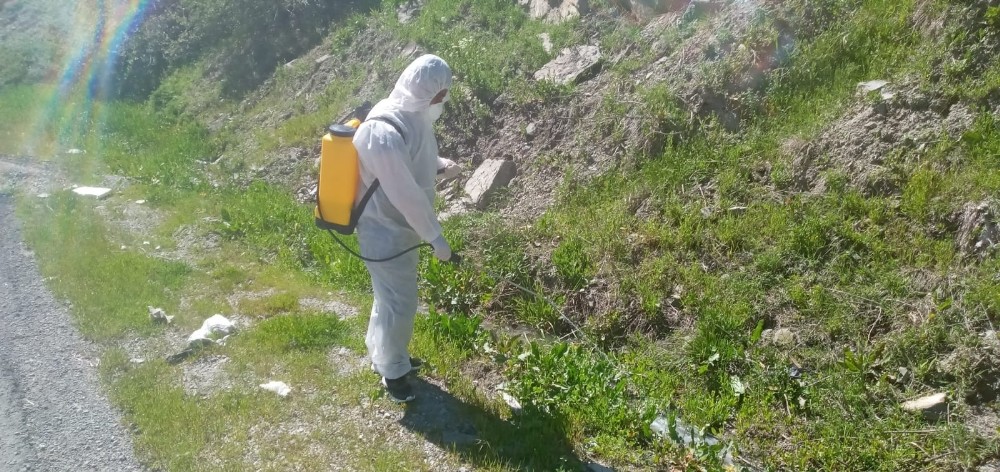 Hakkari’de dere yatakları larvalara karşı ilaçlanıyor 