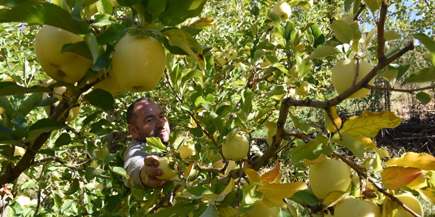 Hakkari'de devlet desteğiyle oluşturuldu! Üretim arttı