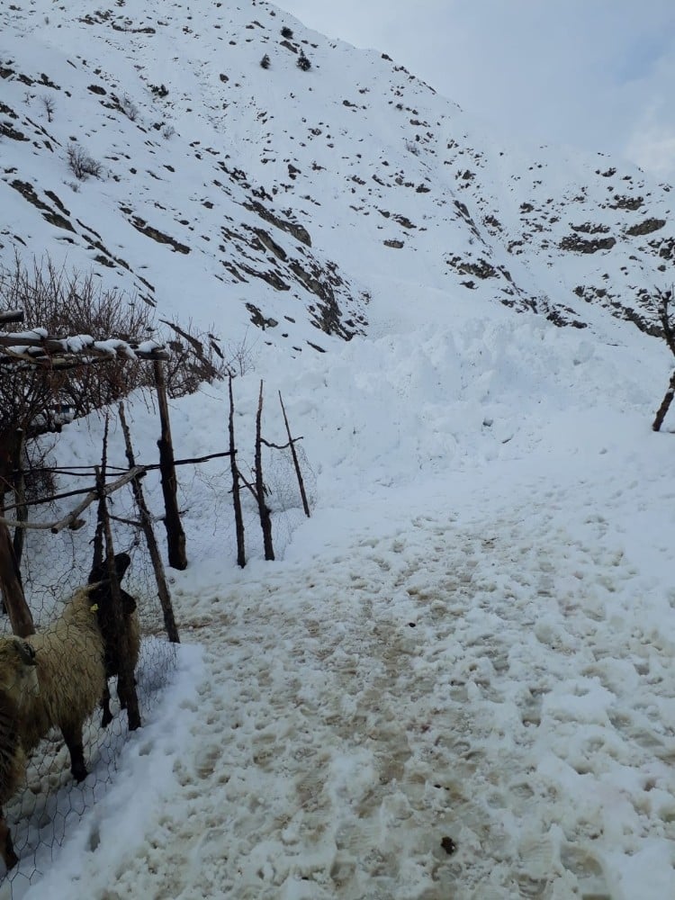 Hakkari’de inen çığ ahırı teğet geçti 