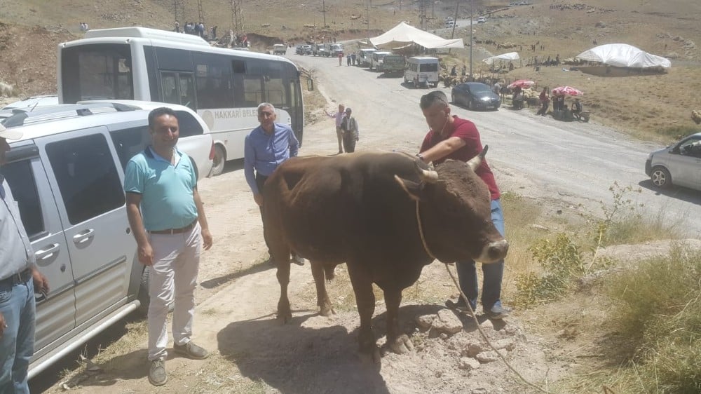 Hakkari’de kurbanlıklar sağlık taramasından geçirildi 