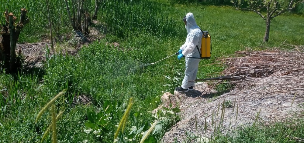 Hakkari’de larva ilaçlama çalışmaları sürüyor 