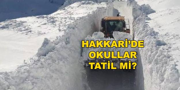 Hakkari’de okullar tatil mi? 17 Ocak 2022 Hakkari Valiliği'nden kar tatili açıklaması!