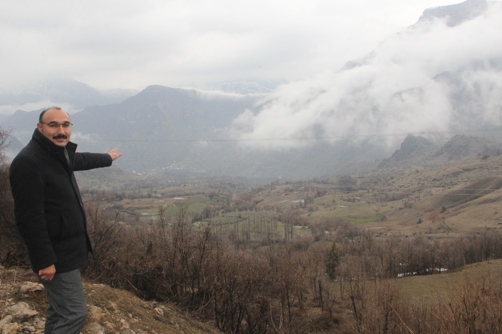 Hakkari’de seçimi kazananlar belli oldu 