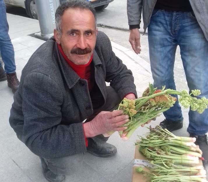 Hakkari’de ‘yayla muzu’ uçkuna yoğun ilgi 