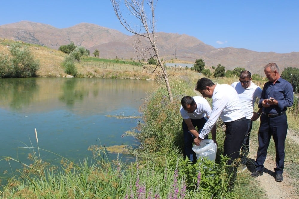 Hakkari’deki 29 gölete yavru balık bırakıldı 