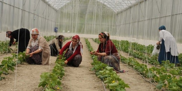 Hakkari'nin girişimci kadınları