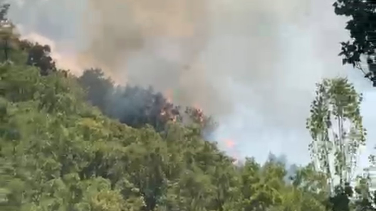 Hakkari’nin Şemdinli ilçesinde orman yangını