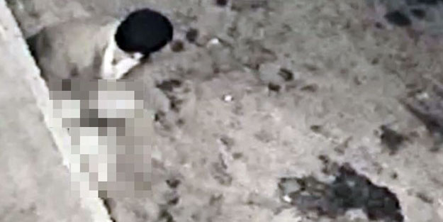 Mide bulandıran olay! Köpeğe taciz böyle görüntülendi