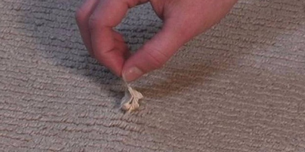 Halıya yapışan sakıza fıstık ezmesi sürerseniz...