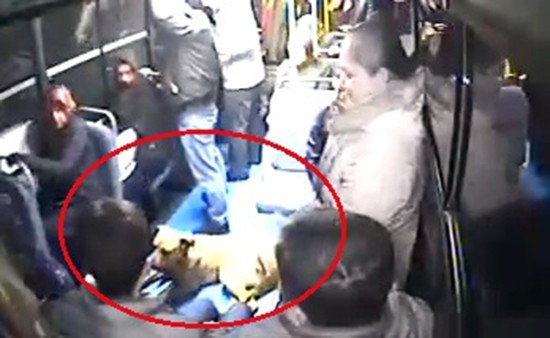 Halk otobüsüne binen köpeği gören vatandaşlar büyük panik yaşadı 