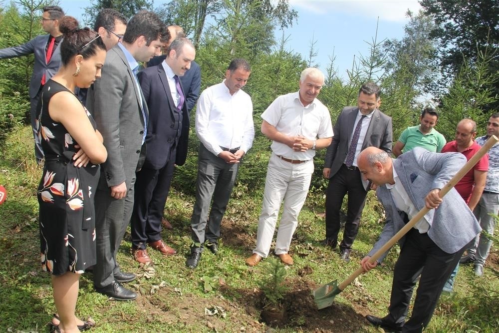 Halk Sağlığı Haftası’nda fidan dikildi 