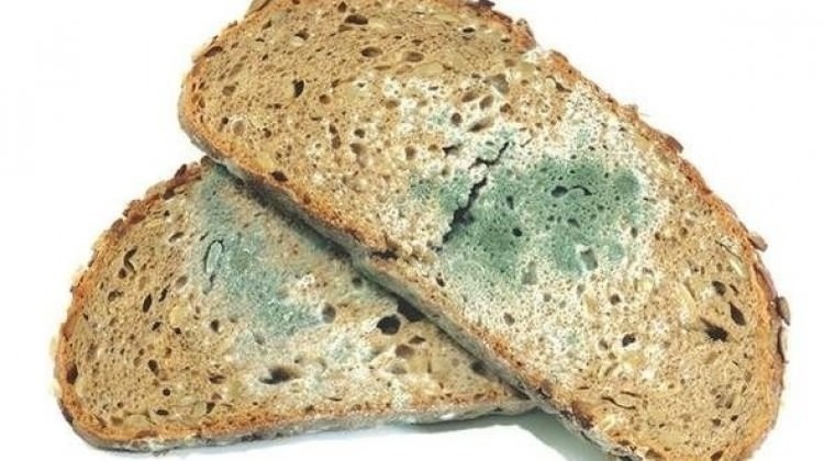 Halk Sağlığı Uzmanı Doç. Dr. Özyaral: Küflü gıdaları hiçbir şekilde tüketmeyin