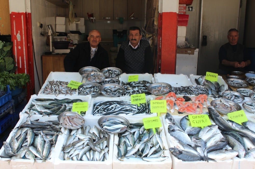 Hamdi Arslan: 