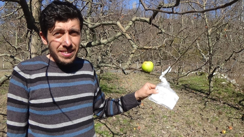 Hamile eşi aş erince bakın ne yaptı 