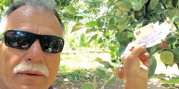 Meyve aldığı ağaca bu notu bıraktı