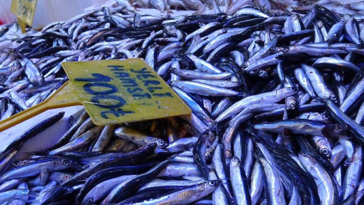 Hamsi bereketi 100 TL’ye düştü, tezgâhlarda izdiham yaşandı