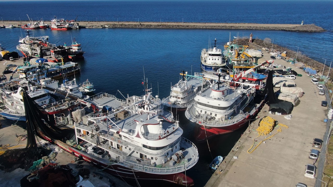 Hamsi bitti sezon erken kapandı!