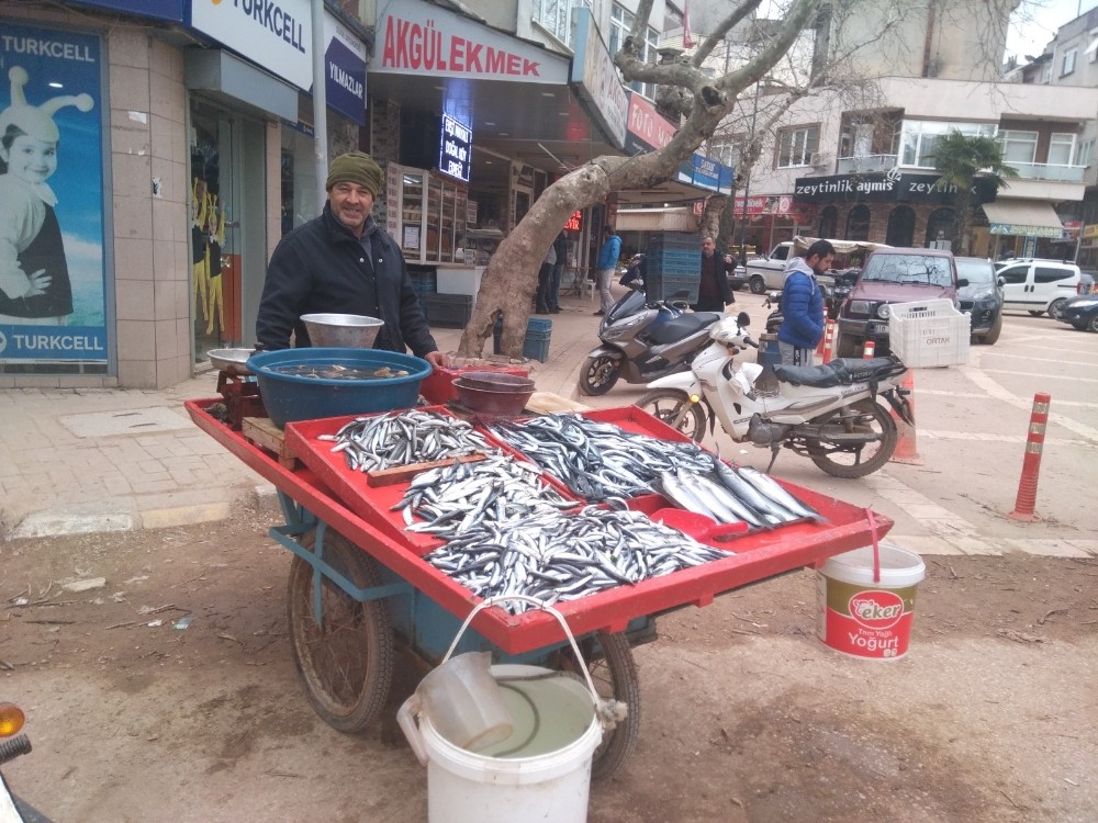Hamsi bollaştı, tezgahlarda fiyatlar düştü 
