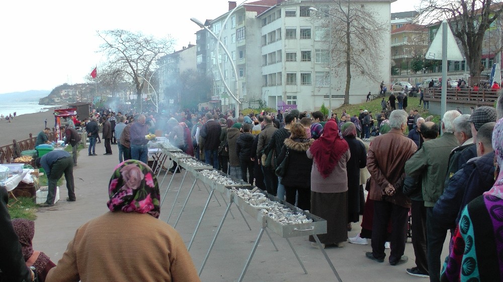 Hamsi Festivali’nde 1 ton 200 kilo hamsi dağıtıldı 