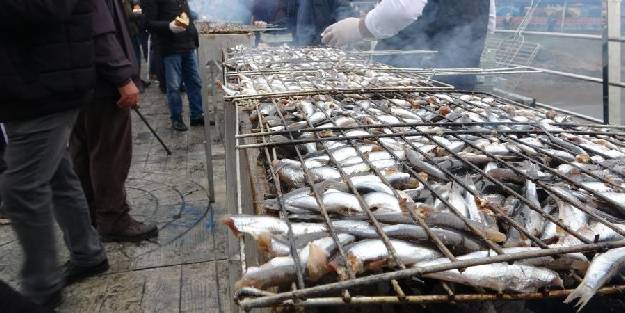 Hamsi festivalinde 5 ton hamsi tüketildi