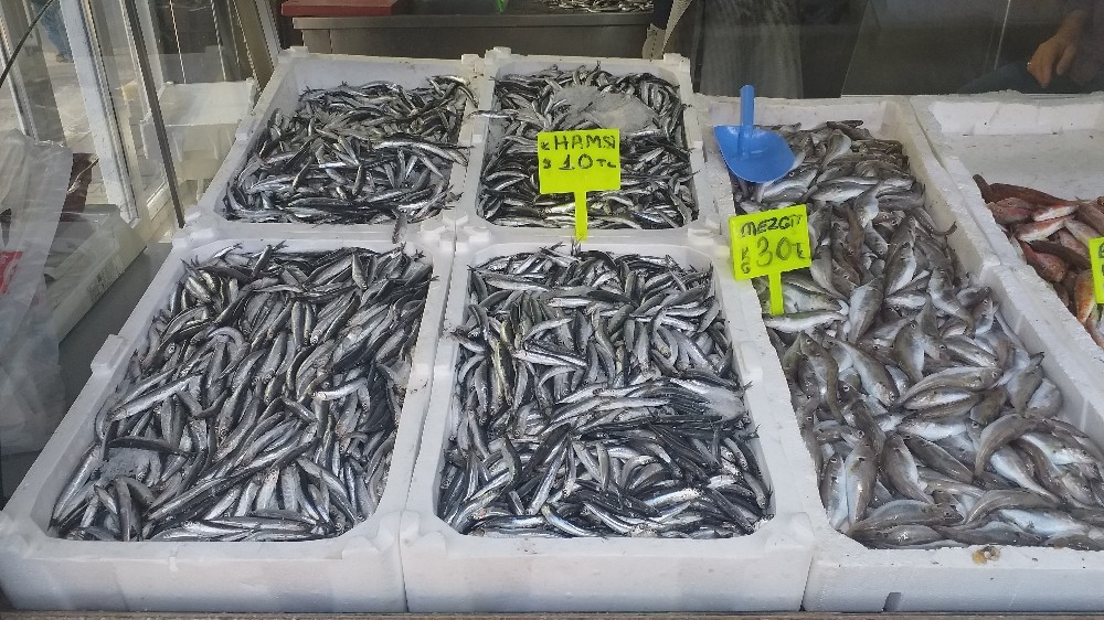 Hamsi, fiyatı ile enflasyona meydan okudu 