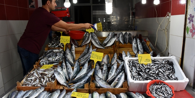 Karadenizli balıkçılar umutlu değil