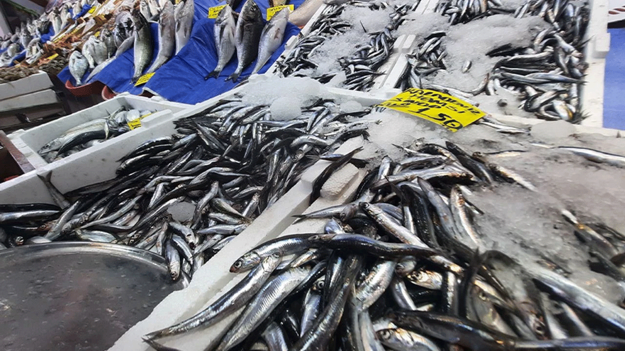 Hamsi palamudu solladı! İhracatın zirvesine yerleşti