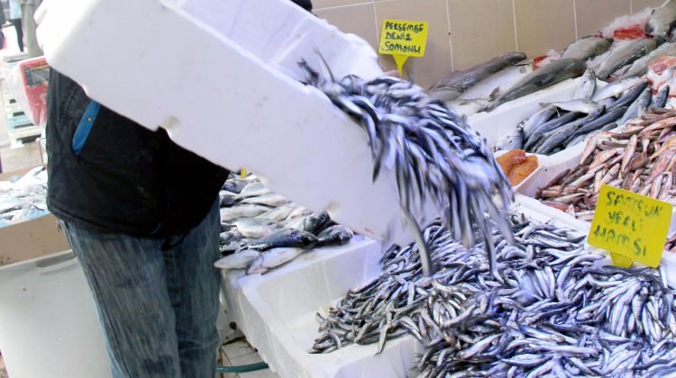 Hamsi rekora koşuyor! 30 yıldır böylesi görülmedi