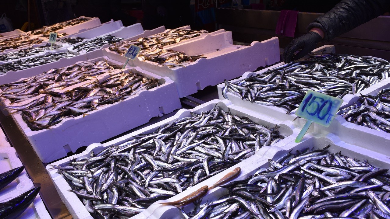 Hamsi tezgahları şenleniyor