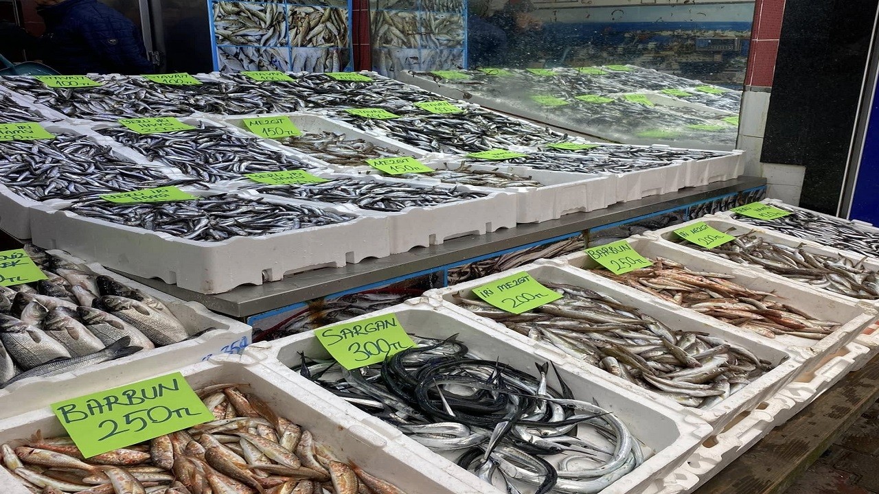 Hamsi tezgahları süsledi! Fiyat cep yakıyor