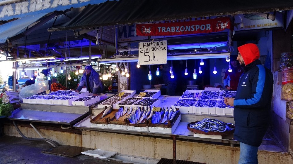 Hamsi tezgahları uzun bir aradan sonra yeninden şenlendirdi 