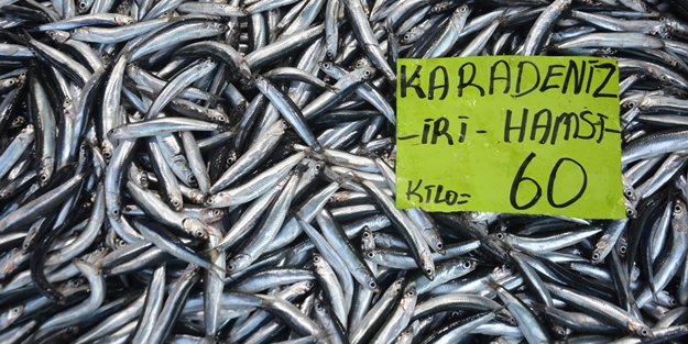 Hamsi tezgahların gözdesi oldu