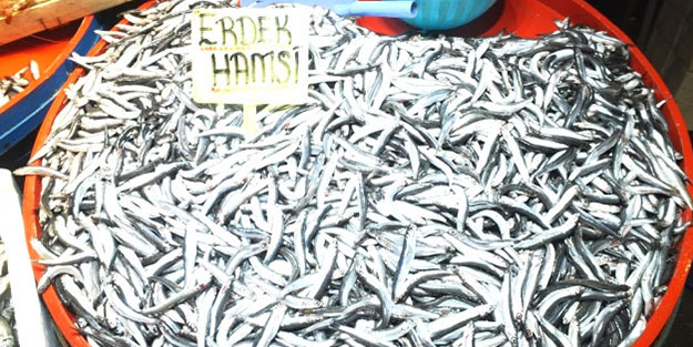 Hamsi yüzde 300 zamlandı! İşte nedeni...
