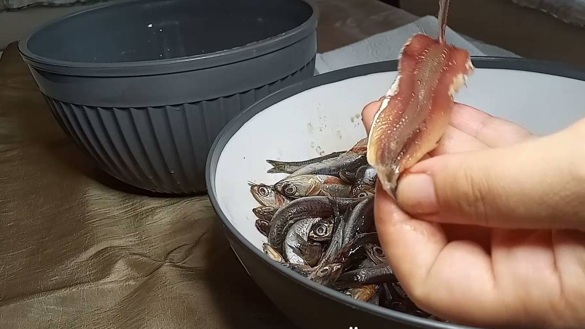 Hamsileri kılçıksız yediyseniz bin pişman olacaksınız! Uzmanlar 