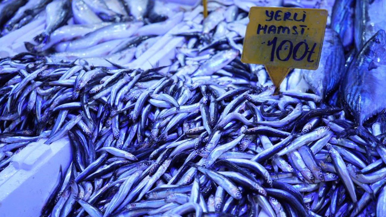 Hamsinin fiyatı yüzde 50 düştü