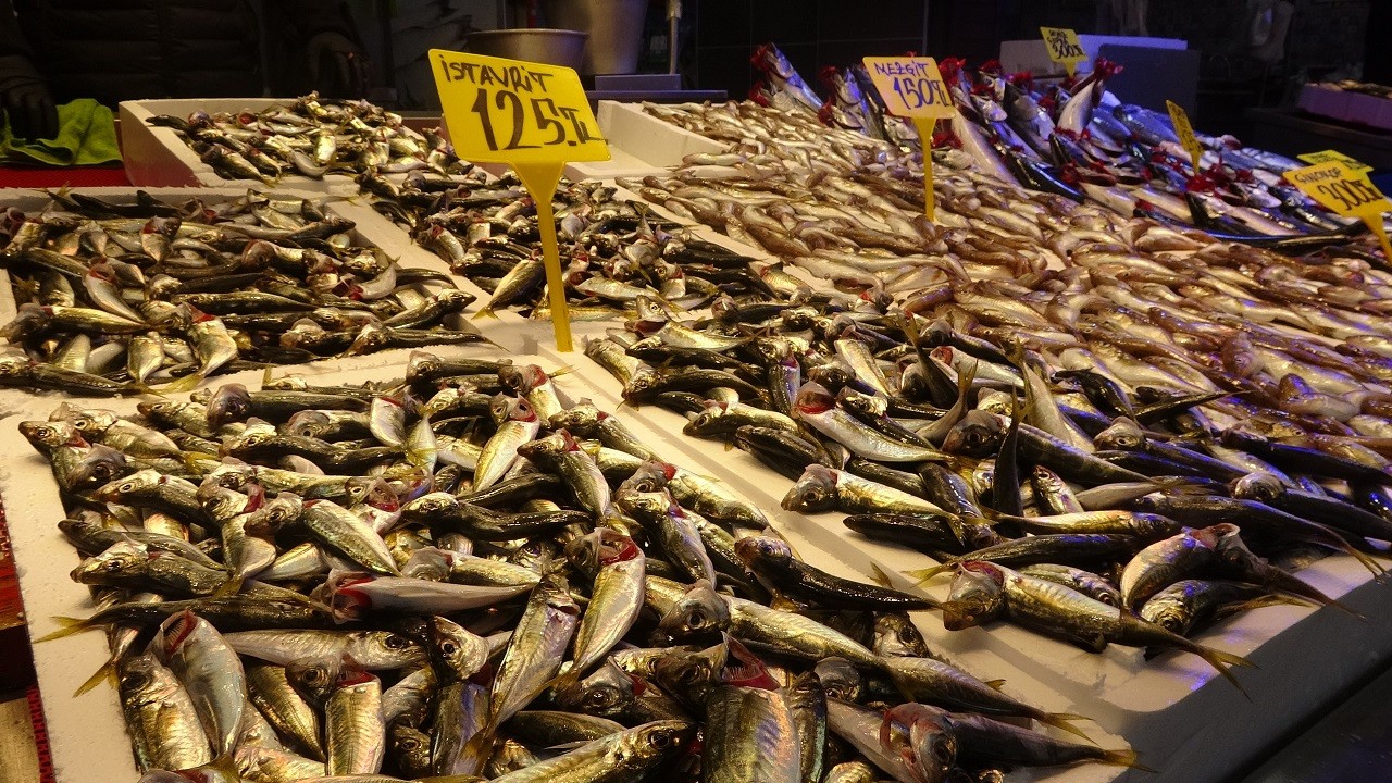 Hamsinin kilosu cep yakmaya başladı!