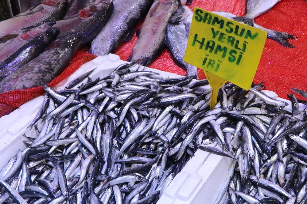Hamsinin kulağına kar suyu kaçtı 