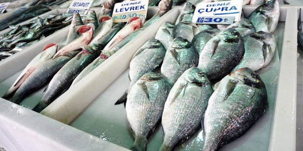 Hamsi bitti, levrek ve çipura öne çıktı!