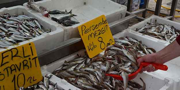 Hamsinin yokluğunda tezgahlarda yerini aldı!