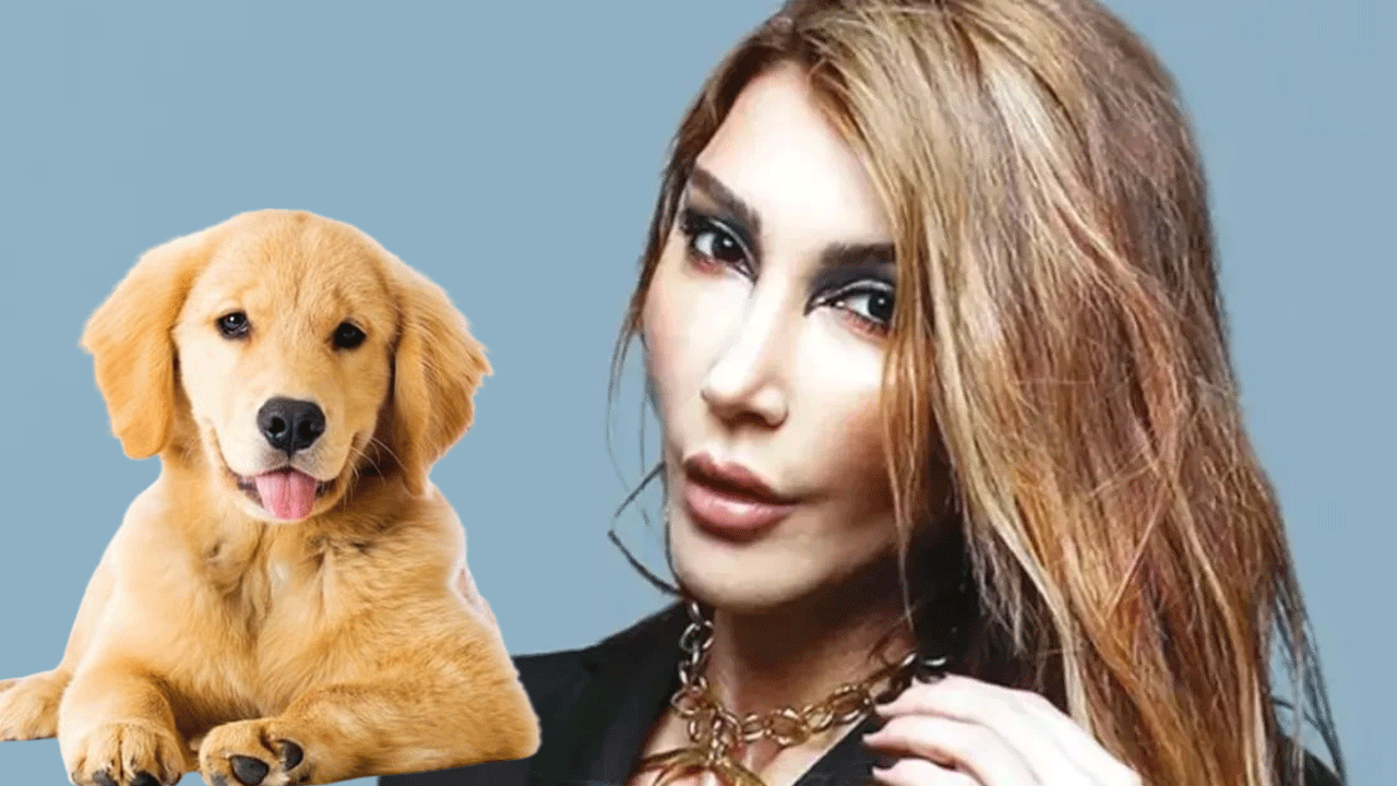 Hande Yener köpek çaldırmış